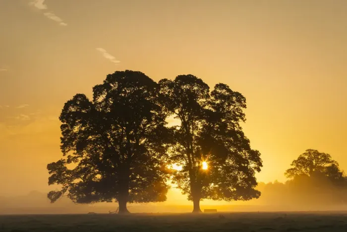 Framed Print : Sunrise, Usk Valley, South Wales, UK Framed Print : Sunrise, Usk Valley, South Wales, UK