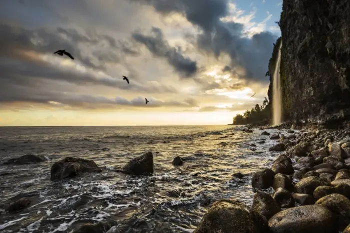 Framed Print : Sunrise from the bottom of Waipio Valley, in Koala coast, Big Island, Hawaii, USA