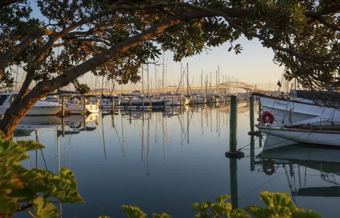 Framed Print : Sunrise from Westhaven marina, Auckland, New Zealand Framed Print : Sunrise from Westhaven marina, Auckland, New Zealand