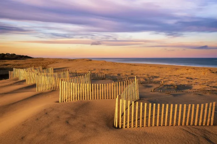 Framed Print : Sunset over beach fence at Nauset Beach, Cape Cod, Orleans, Massachusetts, USA Framed Print : Sunset over beach fence at Nauset Beach, Cape Cod, Orleans, Massachusetts, USA