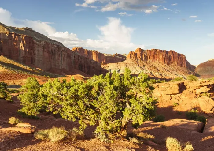 Framed Print : Sunset at Capitol Reef National Park, Torrey, Utah, Usa