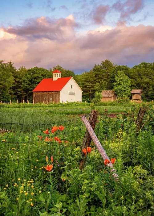Framed Print : Sunset with clouds at Muster Field Farm and gardens, North Sutton, New Hampshire, USA Framed Print : Sunset with clouds at Muster Field Farm and gardens, North Sutton, New Hampshire, USA