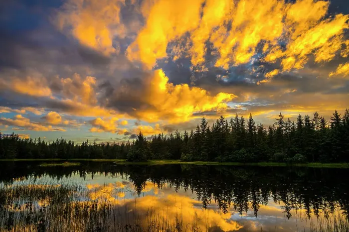 Framed Print : Sunset clouds reflected in a pond, Mendenhall Lake Campground, Juneau, Alaska, USA Framed Print : Sunset clouds reflected in a pond, Mendenhall Lake Campground, Juneau, Alaska, USA