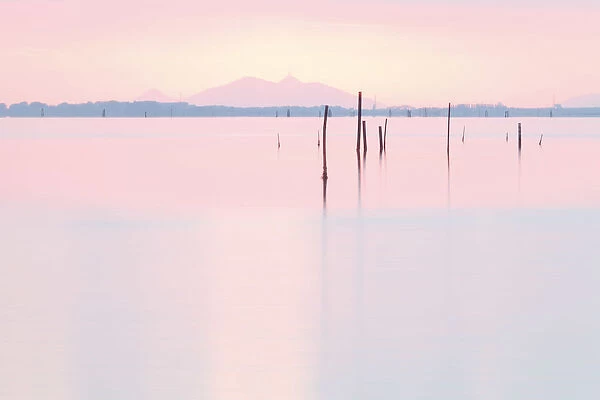 Sunset of the coast of the Isola di Pellestrina, Venice, Veneto, Italy