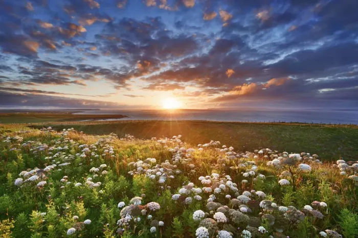 Framed Print : Sunset at Duncansby Head - United Kingdom, Scotland, Caithness, Duncansby Head Framed Print : Sunset at Duncansby Head - United Kingdom, Scotland, Caithness, Duncansby Head