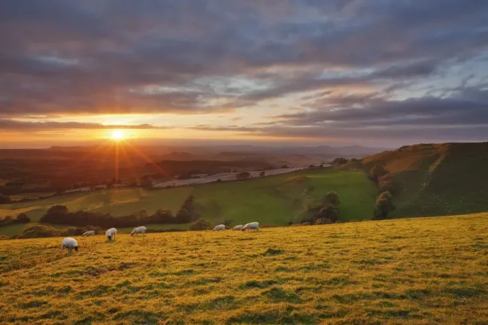Framed Print : Sunset from Eggardon Hill, Bridport, Dorset, England Framed Print : Sunset from Eggardon Hill, Bridport, Dorset, England