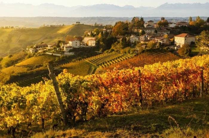 Framed Print : Sunset and foliage vineyards in Neviglie, Piedmont, Italy Framed Print : Sunset and foliage vineyards in Neviglie, Piedmont, Italy
