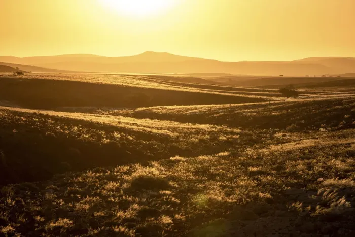 Framed Print : Sunset on grassy fields, Damaraland, Namibia Framed Print : Sunset on grassy fields, Damaraland, Namibia