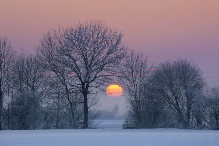 Framed Print : Sunset impression in winter - Germany, Bavaria, Upper Bavaria, Munchen, Ismaning Framed Print : Sunset impression in winter - Germany, Bavaria, Upper Bavaria, Munchen, Ismaning