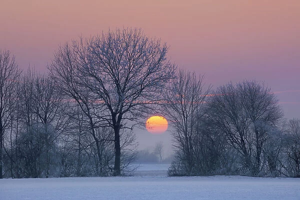 Sunset impression in winter - Germany, Bavaria, Upper Bavaria, Munchen, Ismaning
