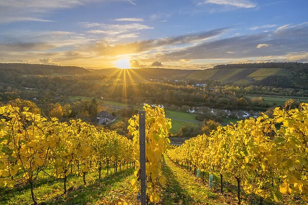 Sunset above Kanzem with Altenberg vineyard, Saar valley, Hunsruck, Rhineland-Palatinate, Germany