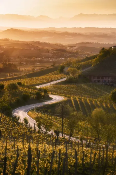 Framed Print : Sunset in Langa with road through the vineyards of Castiglione Tinella, Piedmont, Italy Framed Print : Sunset in Langa with road through the vineyards of Castiglione Tinella, Piedmont, Italy