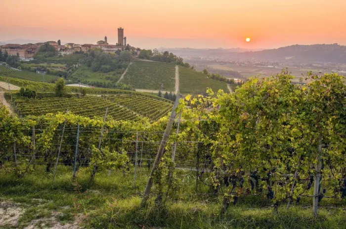 Framed Print : Sunset in Langhe, Barbaresco, Piedmont, Italy Framed Print : Sunset in Langhe, Barbaresco, Piedmont, Italy