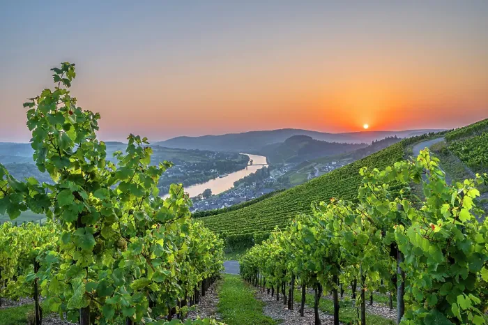 Framed Print : Sunset at Lieser, Mosel, Mosel valley, Rhineland-Palatinate, Germany Framed Print : Sunset at Lieser, Mosel, Mosel valley, Rhineland-Palatinate, Germany