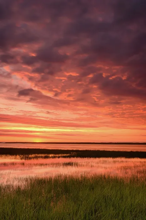 Framed Print : Sunset from marsh at Fort Hill with reflection, Cape Cod, Eastham, Massachusetts, USA Framed Print : Sunset from marsh at Fort Hill with reflection, Cape Cod, Eastham, Massachusetts, USA
