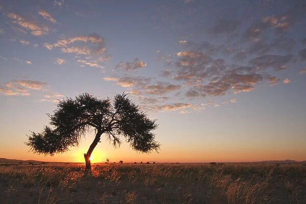 Sunset near Aus, Namib Desert, Namibia