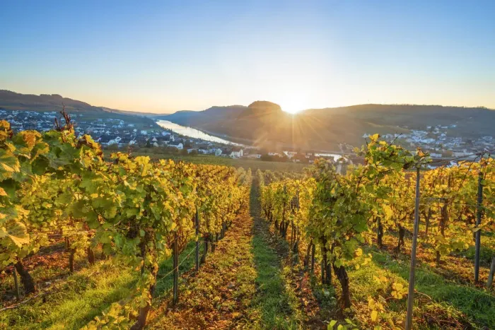 Framed Print : Sunset at Nittel, Mosel valley, Rhineland-Palatinate, Germany Framed Print : Sunset at Nittel, Mosel valley, Rhineland-Palatinate, Germany
