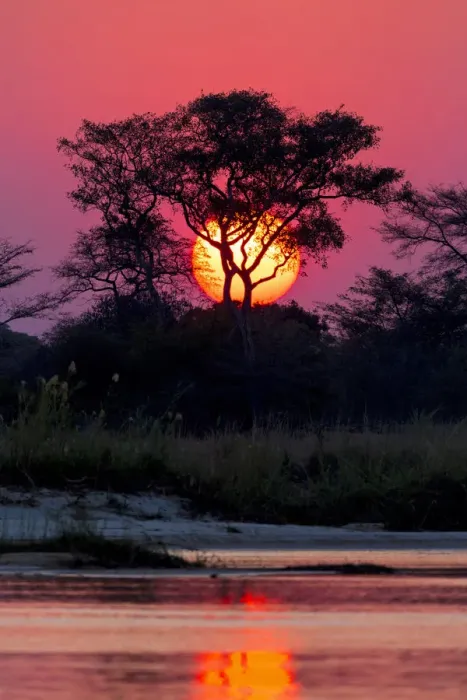 Framed Print : Sunset at the Okavango Delta, Botswana, Africa Framed Print : Sunset at the Okavango Delta, Botswana, Africa