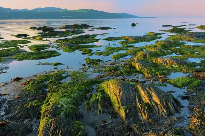 Framed Print : Sunset on shoreline of Gulf of St. Lawrence Iles-aux-Coudres, Quebec, Canada Framed Print : Sunset on shoreline of Gulf of St. Lawrence Iles-aux-Coudres, Quebec, Canada