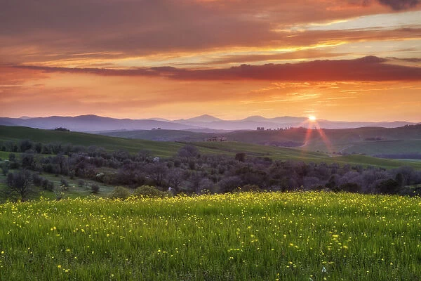 Sunset over Val D Orcia, near San Quirico d Orcia, Siena, Tuscany, Italy
