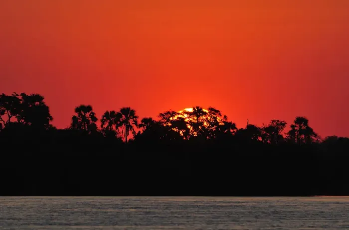 Framed Print : Sunset over water with palm trees, , Zambezi River, near Victoria Falls, Zimbabwe, Africa Framed Print : Sunset over water with palm trees, , Zambezi River, near Victoria Falls, Zimbabwe, Africa