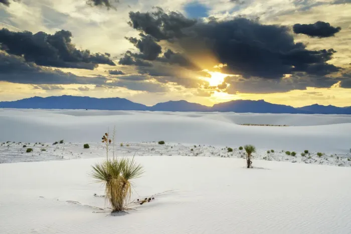 Framed Print : Sunset over White Sands National Monument, Alamogordo, New Mexico, USA Framed Print : Sunset over White Sands National Monument, Alamogordo, New Mexico, USA