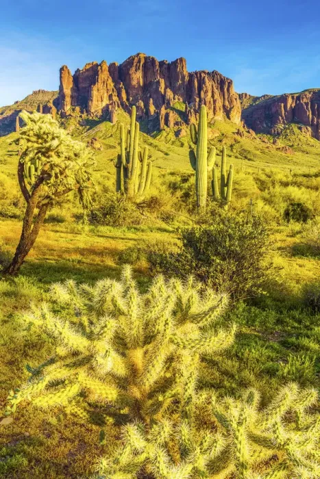 Framed Print : Superstition Mountains, Phoenix, Arizona, USA Framed Print : Superstition Mountains, Phoenix, Arizona, USA