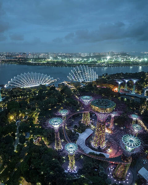 Supertree Grove, Gardens by the Bay, Singapore, Asia