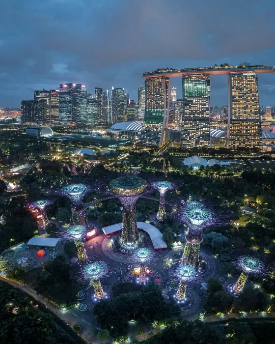 Framed Print : Supertree Grove, Gardens by the Bay, Singapore, Asia