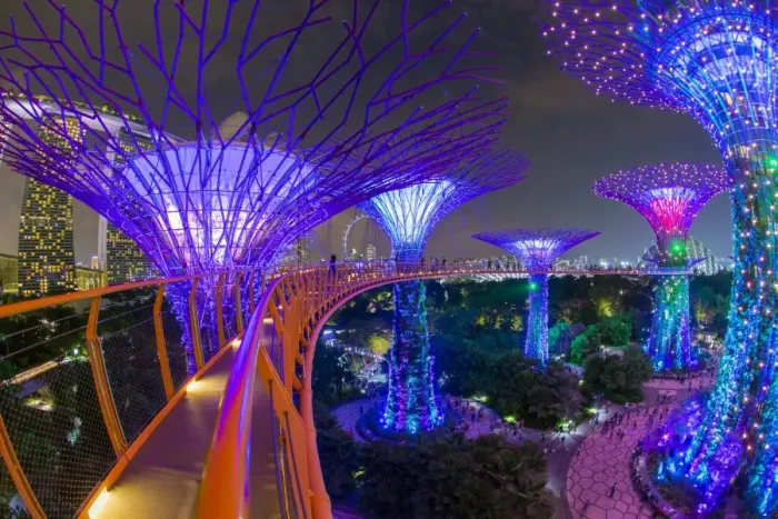 Framed Print : Supertrees at Gardens by the Bay, illuminated at night, Singapore, Southeast Asia Framed Print : Supertrees at Gardens by the Bay, illuminated at night, Singapore, Southeast Asia