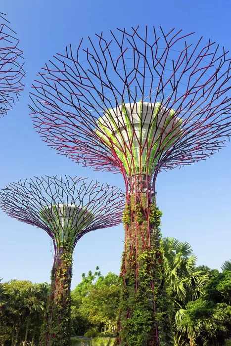 Framed Print : Supertrees in Gardens by the Bay, Singapore Framed Print : Supertrees in Gardens by the Bay, Singapore