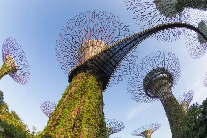 Framed Print : Supertrees at Gardens by the Bay, Singapore, Southeast Asia Framed Print : Supertrees at Gardens by the Bay, Singapore, Southeast Asia