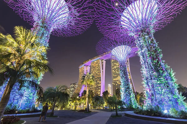 Supertrees and Marina Bay Sands, Gardens by the Bay, Singapore City, Singapore