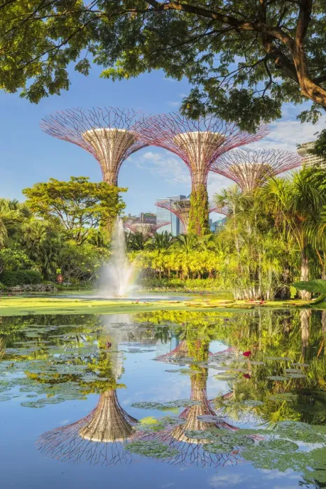 Framed Print : Supertrees reflecting in a lake, Gardens by the Bay, Singapore City, Singapore, Asia