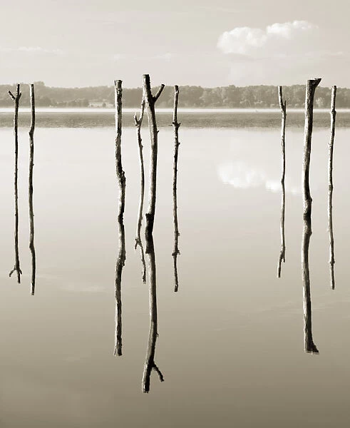 'Suspended in the air' - reflected in water remains of the old jetty on the lake Azur, Les Landes, Aquitaine, France