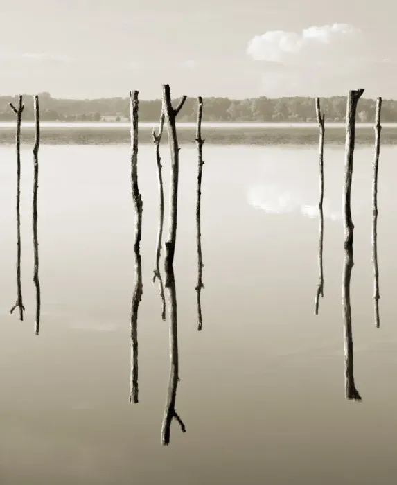 Framed Print : Suspended in the air - reflected in water remains of the old jetty on the lake Azur, Les Landes, Aquitaine, France Framed Print : Suspended in the air - reflected in water remains of the old jetty on the lake Azur, Les Landes, Aquitaine, France