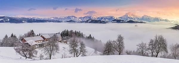 Sveti Tomaz at sunrise in winter Europe, Slovenia, Sveti Tomaz
