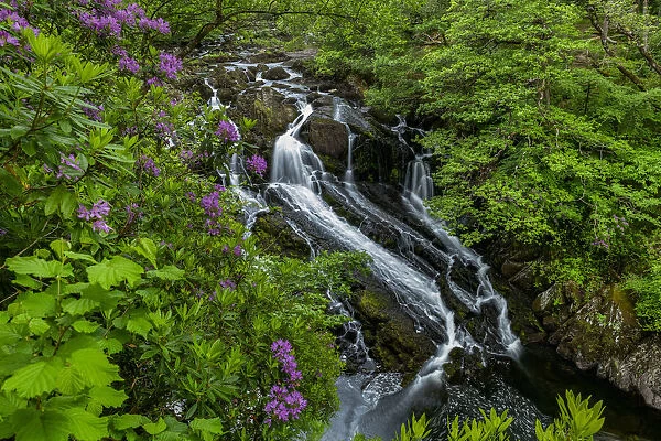 Swallow Falls, Betws-y-Coed, Conwy, Wales