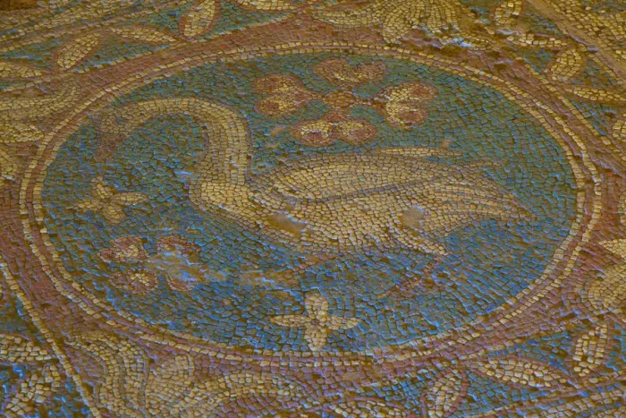 Framed Print : Swan Mosaic from Temple to Athena, Soloi, North Cyprus Framed Print : Swan Mosaic from Temple to Athena, Soloi, North Cyprus