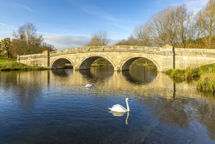 Framed Print : Swans at Bladon Bridge, Blenheim Palace, Blenheim Park, Woodstock, Oxfordshire, England Framed Print : Swans at Bladon Bridge, Blenheim Palace, Blenheim Park, Woodstock, Oxfordshire, England