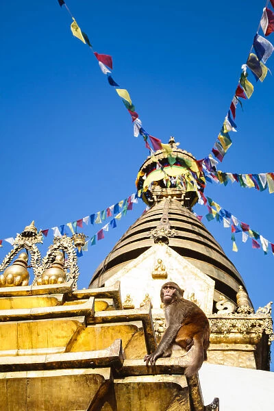 Swayambhunath temple (also known as Monkey temple) at sunrise. Kathmandu, Nepal