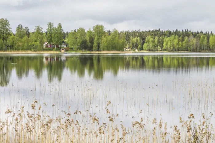 Framed Print : Sweden, Southeast Sweden, Skullaryd, lake view, springtime Framed Print : Sweden, Southeast Sweden, Skullaryd, lake view, springtime