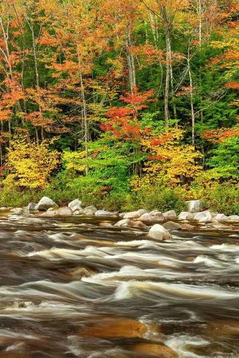 Framed Print : Swift River in Autumn, New Hampshire, New England, USA Framed Print : Swift River in Autumn, New Hampshire, New England, USA