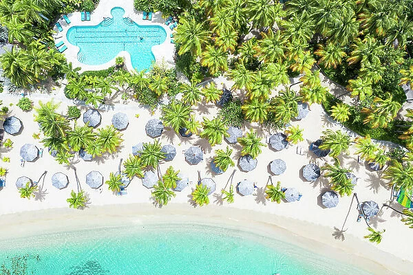 Swimming pool and parasols framed by palm trees on white sand of tropical beach from above, Antigua, Caribbean, West Indies