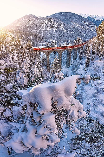 Swiss red train traveling across the frozen forest covered with snow after a blizzard at dawn, Graubunden canton, Switzerland