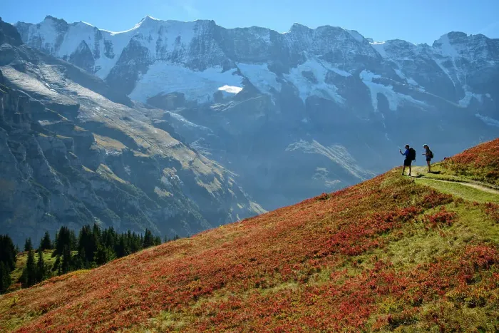 Framed Print : Switzerland, Berne, Oberland, Murren, Bernese Alps, Hiker