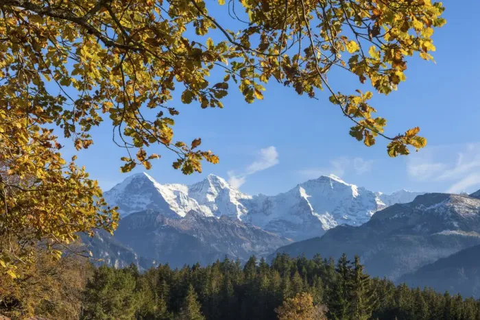 Framed Print : Switzerland, Berner Oberland, Beatenberg, Eiger, Monch, Jungfrau Framed Print : Switzerland, Berner Oberland, Beatenberg, Eiger, Monch, Jungfrau