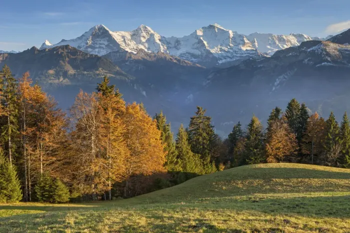 Framed Print : Switzerland, Berner Oberland, Beatenberg, Eiger, Monch, Jungfrau Framed Print : Switzerland, Berner Oberland, Beatenberg, Eiger, Monch, Jungfrau