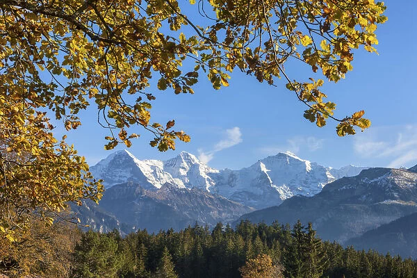 Switzerland, Berner Oberland, Beatenberg, Eiger, Monch, Jungfrau