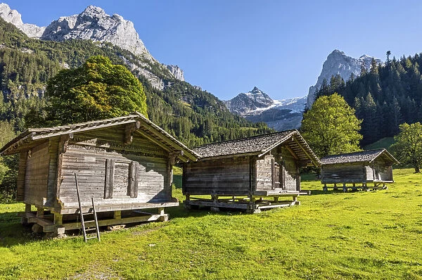 Switzerland, Berner Oberland, Rosenlaui valley, Alp Gschwandtenmad